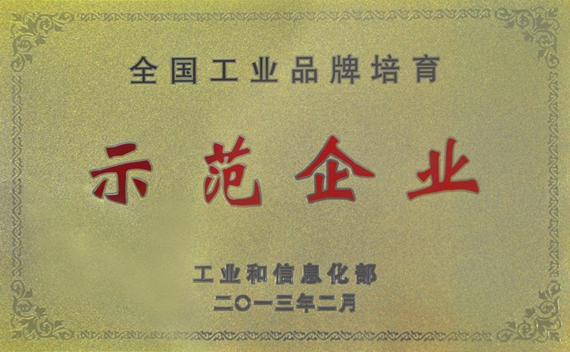 热烈祝贺我司成为国度首批“工业品牌造就示范