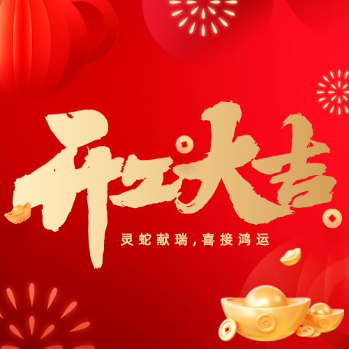 2025与蛇俱进，勇攀顶峰！pg电子游戏铝业开工大吉，吹响鼎新新号角